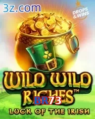 BR73